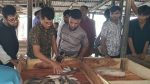 Fresh hilsa arrives, prices still high