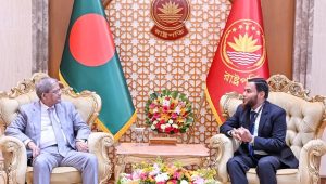 GAU VC briefs president on research, achievements