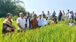 Grassroots researchers boon for agriculture