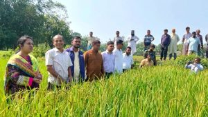 Grassroots researchers boon for agriculture
