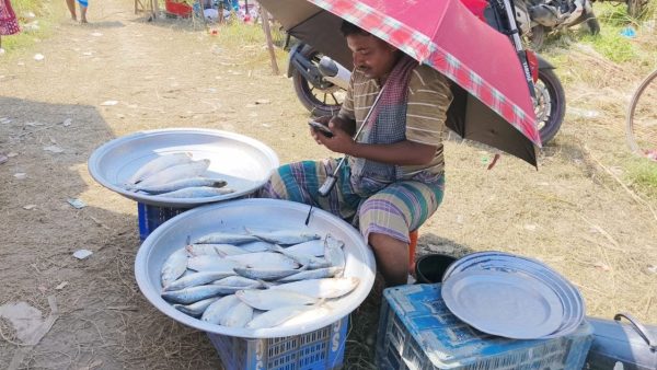Defying hilsa ban, riverbank markets bustle in Shibchar