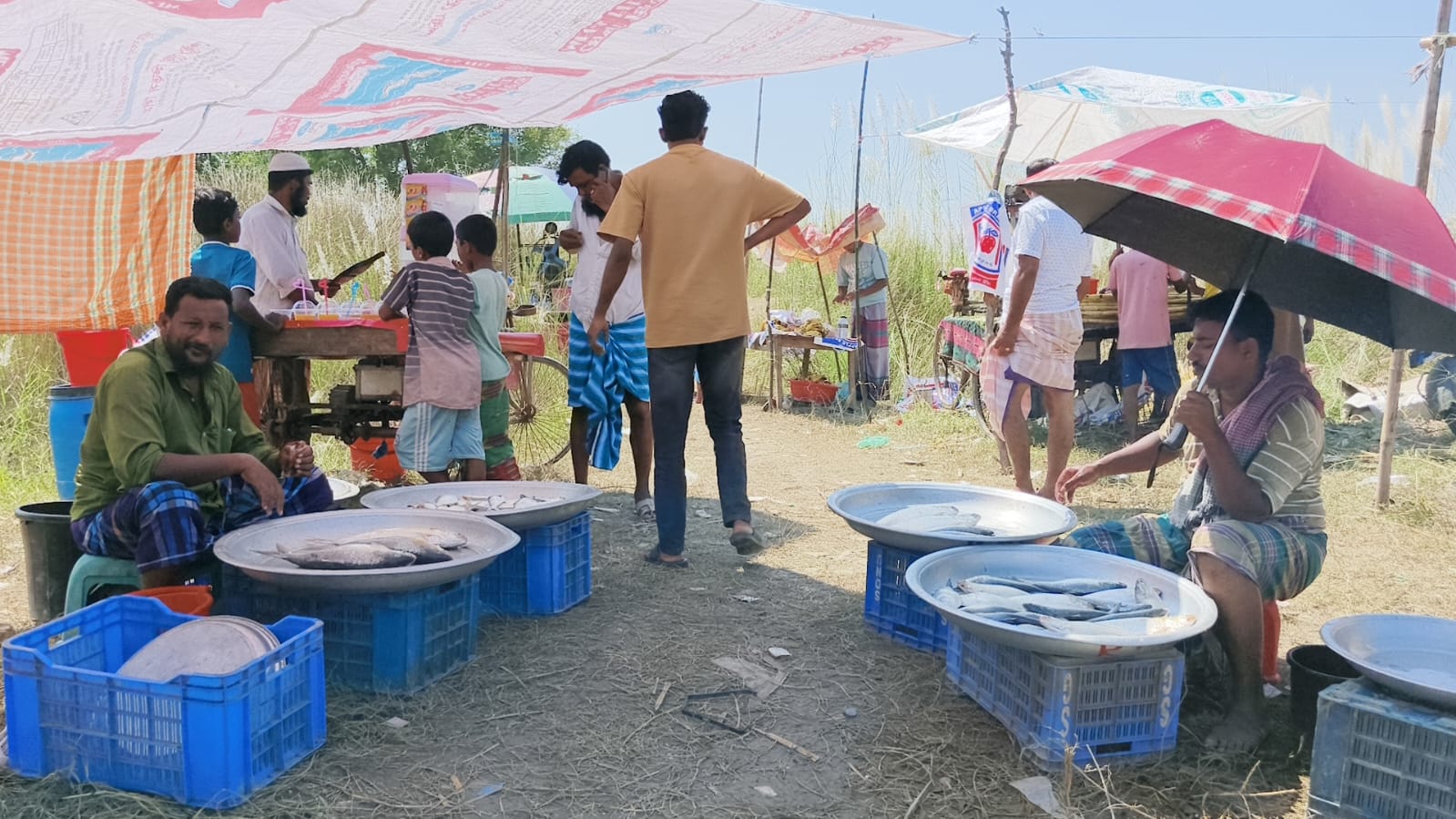 Shibchar Defying hilsa ban