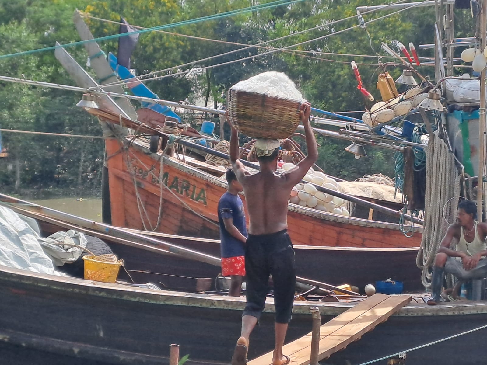 Hilsa ban