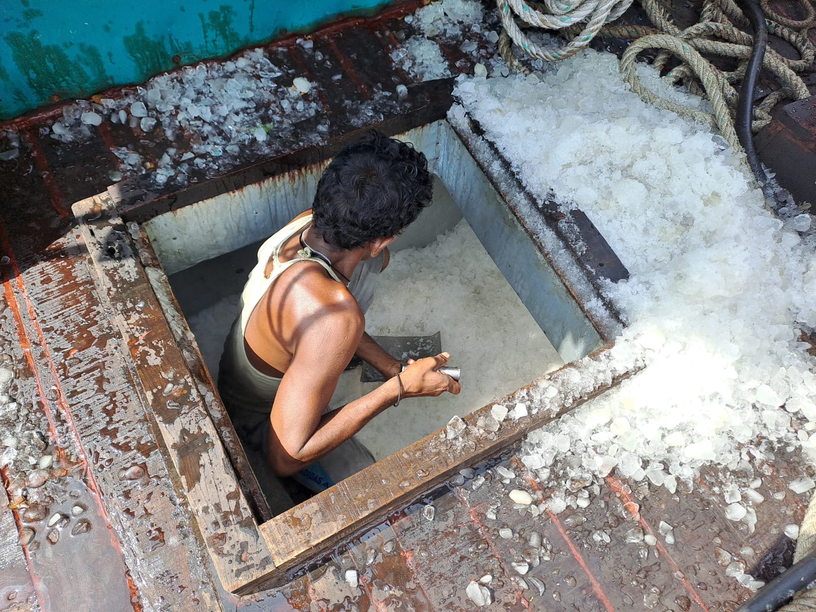 Hilsa ban