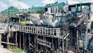 Paradise lost: Ashes on the Inani shore