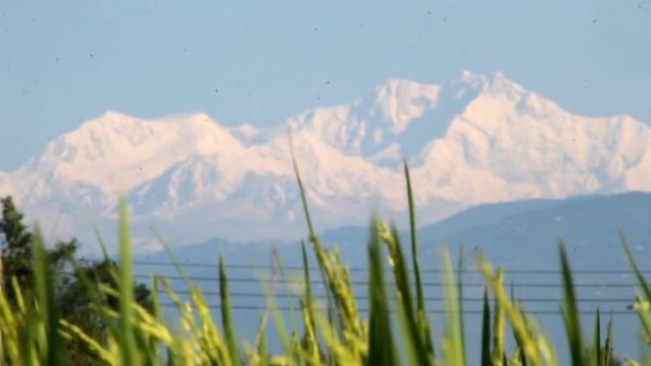 Kanchenjunga’s breathtaking views draw crowds to Tetulia 