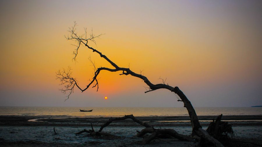 Parallel lives on the Kuakata Coast