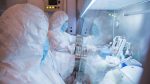 What is Plague? Why the ancient disease is back in focus