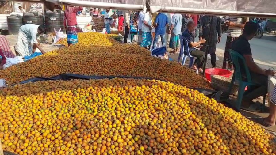 Betel nuts boost Lakshmipur’s rural economy