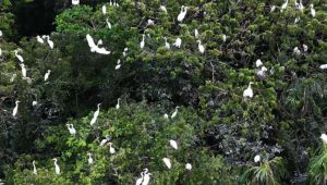 A sanctuary in the shadow of the Sundarbans