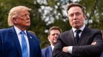 Musk returns to US government for Pentagon war study