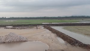 Rohingya man injured in landmine blast inside Myanmar