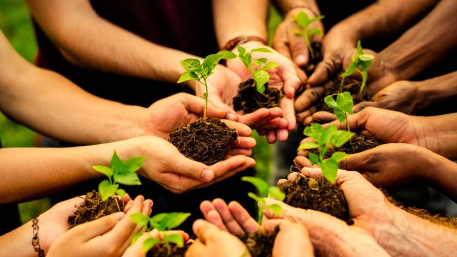 A school where nature is the teacher