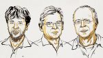 2026 Nobel in Physiology: Lighting the way into the mind