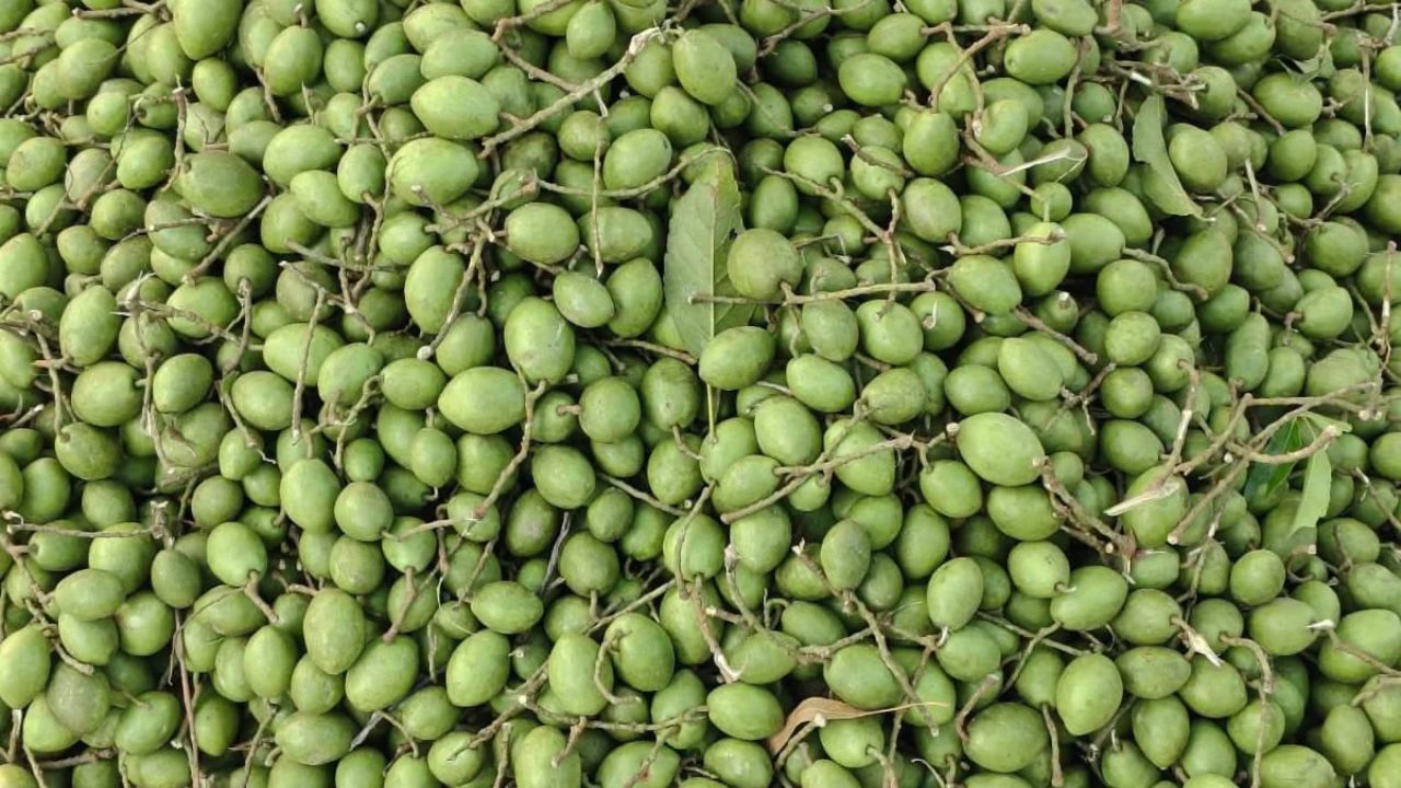 Olive prices