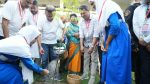 PM inaugurates tree plantation programme in Feni