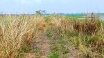 Neglected for a decade, Tk1.2cr road disappears