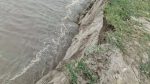 Padma erosion swallows farmland, threatens next cropping season