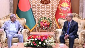 Free, fair polls vital for democracy: President