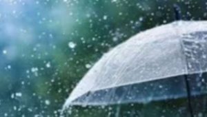 Low pressure may form over Bay, rain likely for 5 days