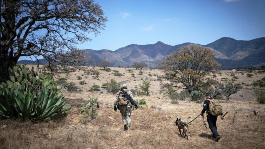 AI tools aim to help find Mexico’s missing children
