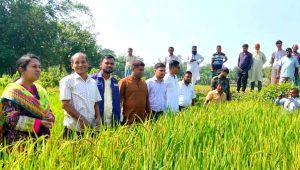 TIMES report on 21-year research: DC visits farmer Sentu’s home