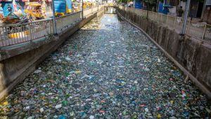 Sheikh Russel Park: Going to waste