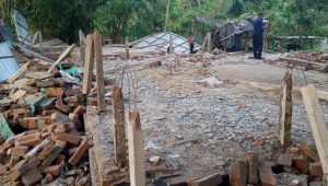 One arrested over shrine vandalism in Sherpur