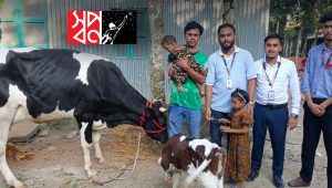 Shwapno pledges cow to help two sisters’ family earn income