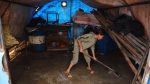 Syria floods kill 5, including four children