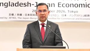 PM urges Japanese firms to invest in automotive, high-speed rail sectors