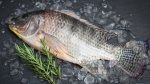 Fish disappears from poorer plates