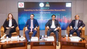 Exports to UK could reach $10b through diversification: Experts