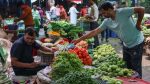 Vegetable prices fall, farmers fear losses