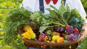 The best foods to boost collagen and protect ageing skin
