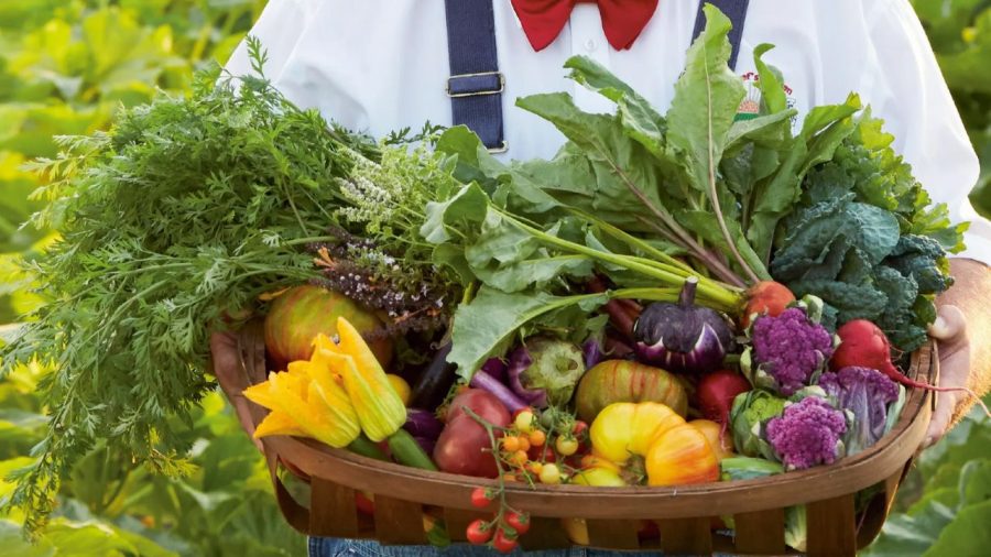 The best foods to boost collagen and protect ageing skin