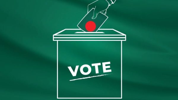 Local govt elections: Party endorsements raise questions over non-partisan polls