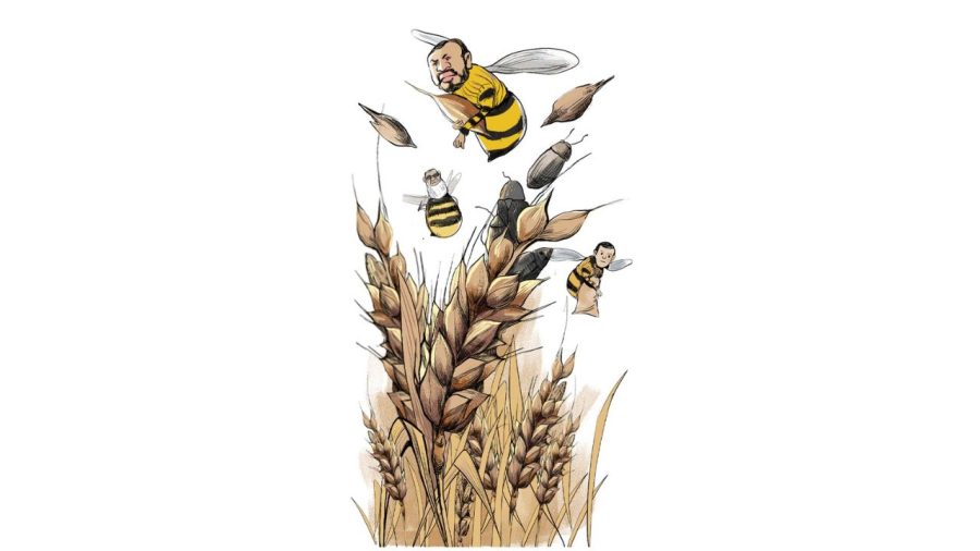 Syndicate plunders wheat from Narayanganj Silo