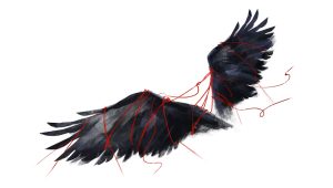 The freedom to move without fear