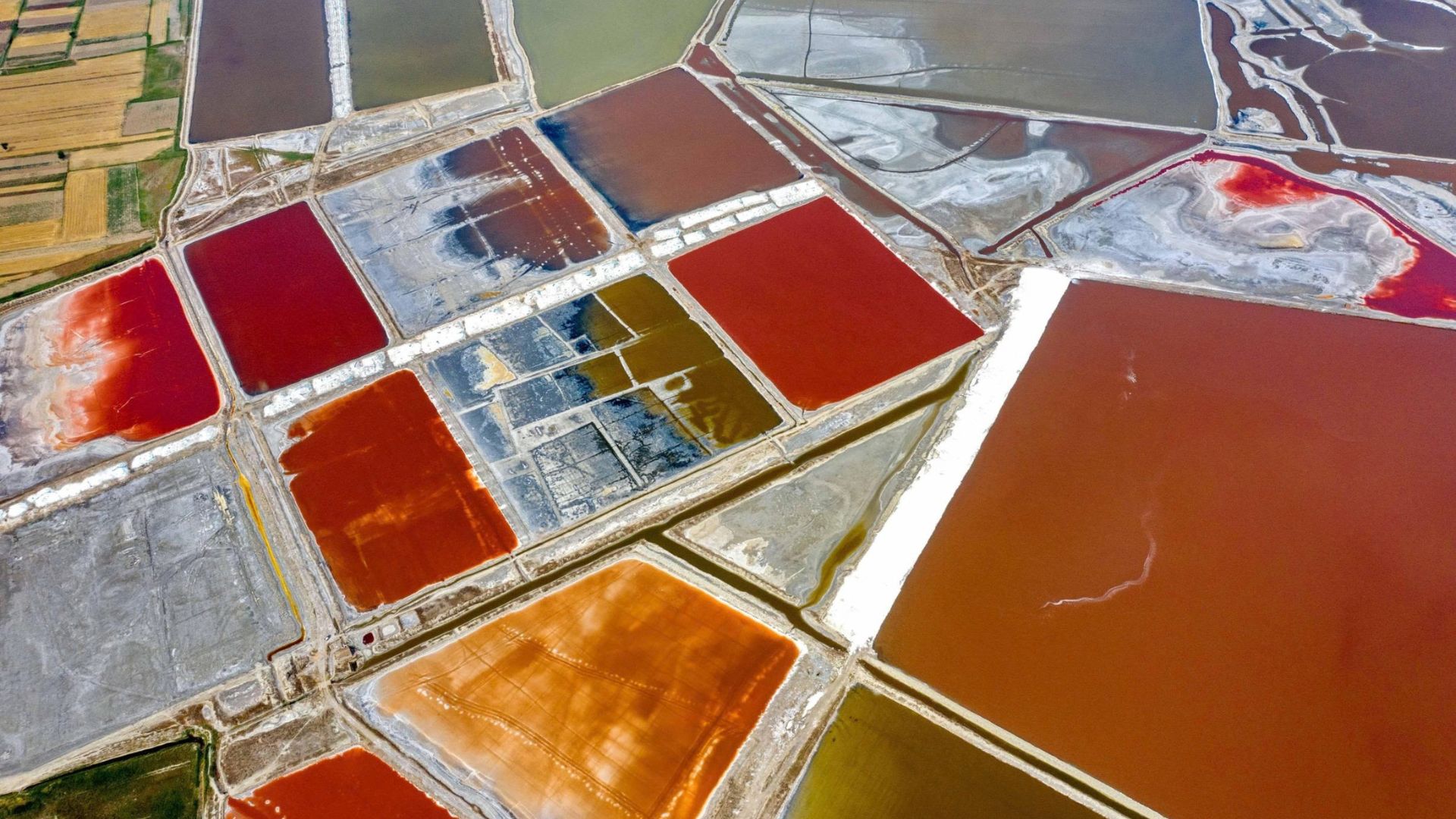 Pink Colorful lakes