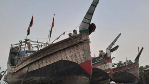 Dwindling catches: Thousands of coastal fishermen drown in debt