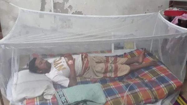 Dengue cases rise in Dinajpur, 58 hospitalised