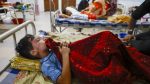 10 die of dengue, 1943 hospitalised in 24hrs