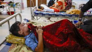 10 die of dengue, 1943 hospitalised in 24hrs