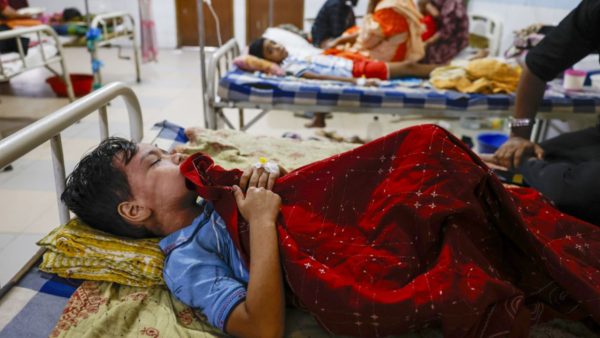 10 die of dengue, 1943 hospitalised in 24hrs