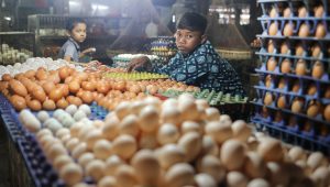 When one egg becomes a luxury