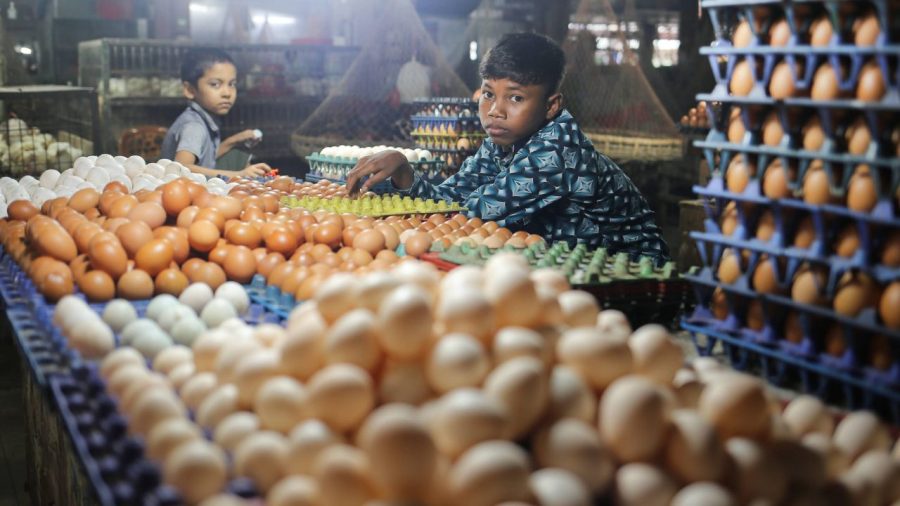 When one egg becomes a luxury