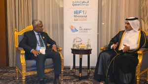 Bangladesh targets LNG and green energy deals in Gulf talks