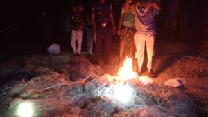Three fishermen jailed in Faridpur hilsa protection drive