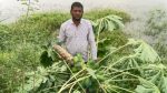 Jamaat leader accused of attack on fish enclosure in Satkhira
